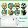 Load image into Gallery viewer, ASTM Level 3 成人裝口罩 (狗狗系列)(30個獨立包裝/非獨立包裝每包30個, 隨機發貨)