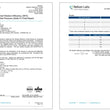 Load image into Gallery viewer, ASTM Level 3 成人裝口罩 (狗狗系列)(30個獨立包裝/非獨立包裝每包30個, 隨機發貨)